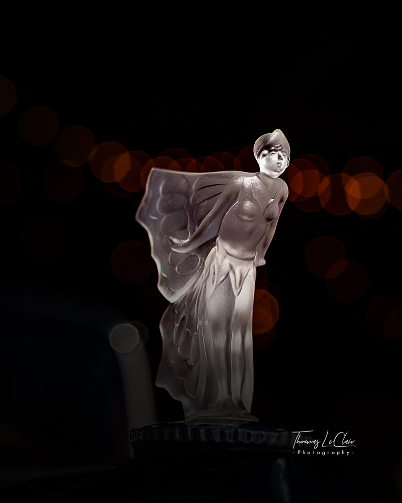 Event study photograph, Grand National Roadster Show